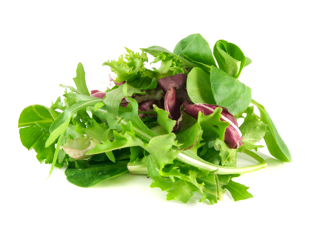 Видове зелени салати